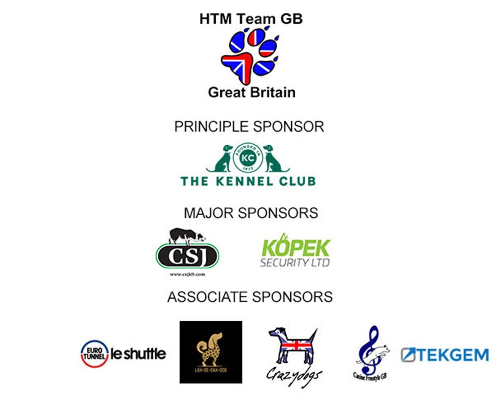 Heelwork to music team GB logos