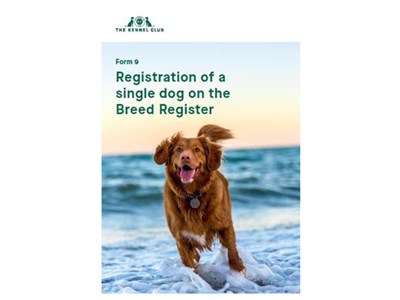Cover page for form for registering a single dog
