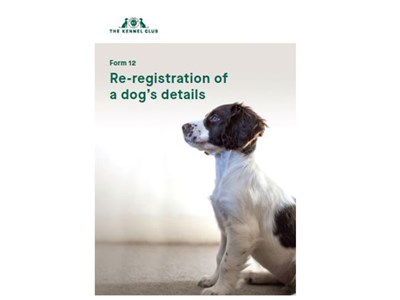 Cover for form - re-registration of a dog