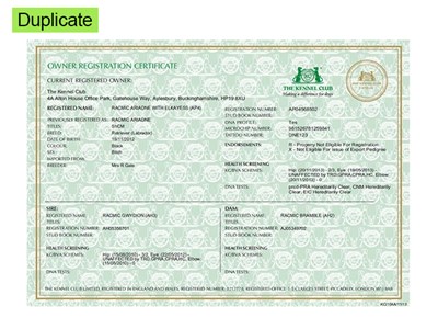 Duplicated Owner Registration Certificate