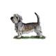Glen of Imaal Terrier illustration